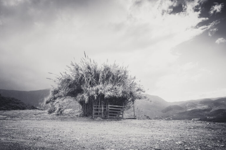 Sofoklis Kalykakis - Σοφοκλής-Καλυκάκης_-12